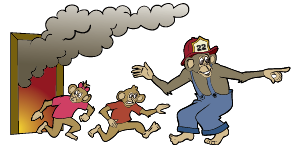 If You See a Fire, Get Out and Stay Out!